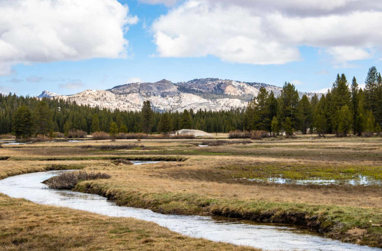 a meadow with a river and mountains in the background