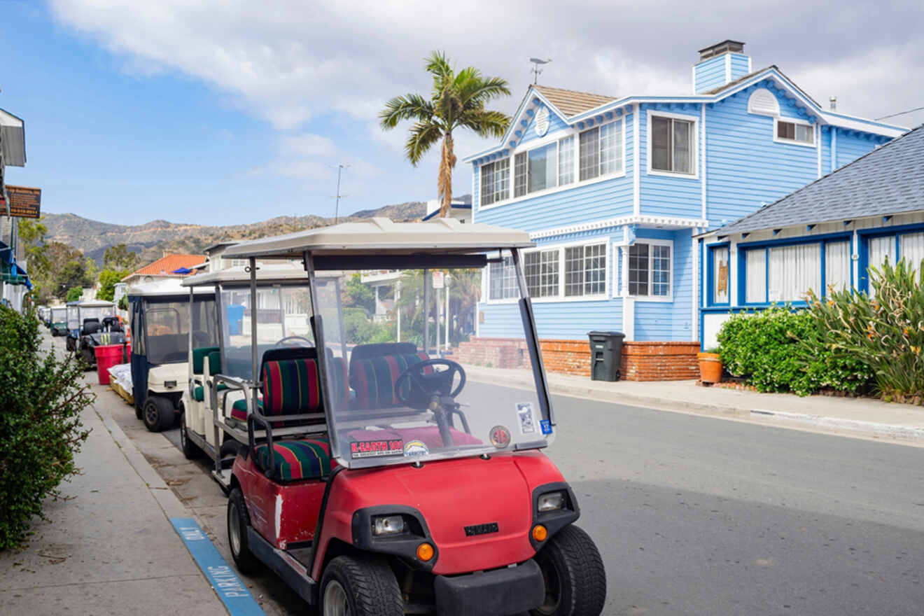 2 Catalina Island Golf Cart