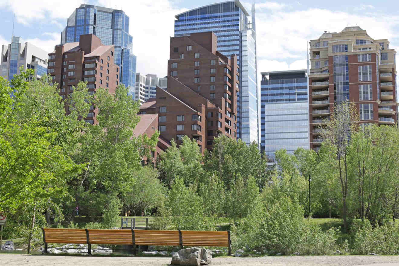 A bench close to a park with tall buildings in the background.