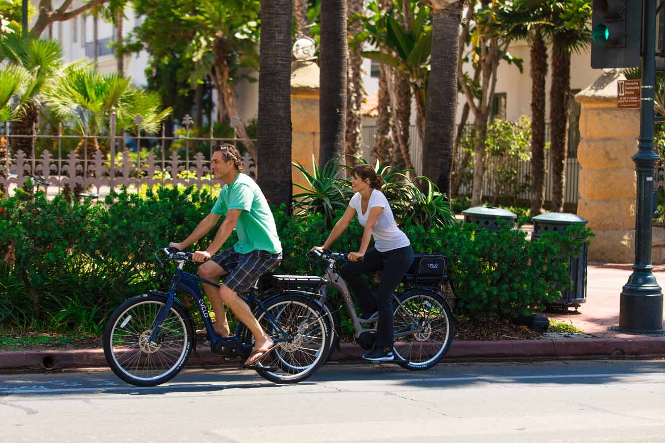 Two people riding bicycles down a street with palm trees.