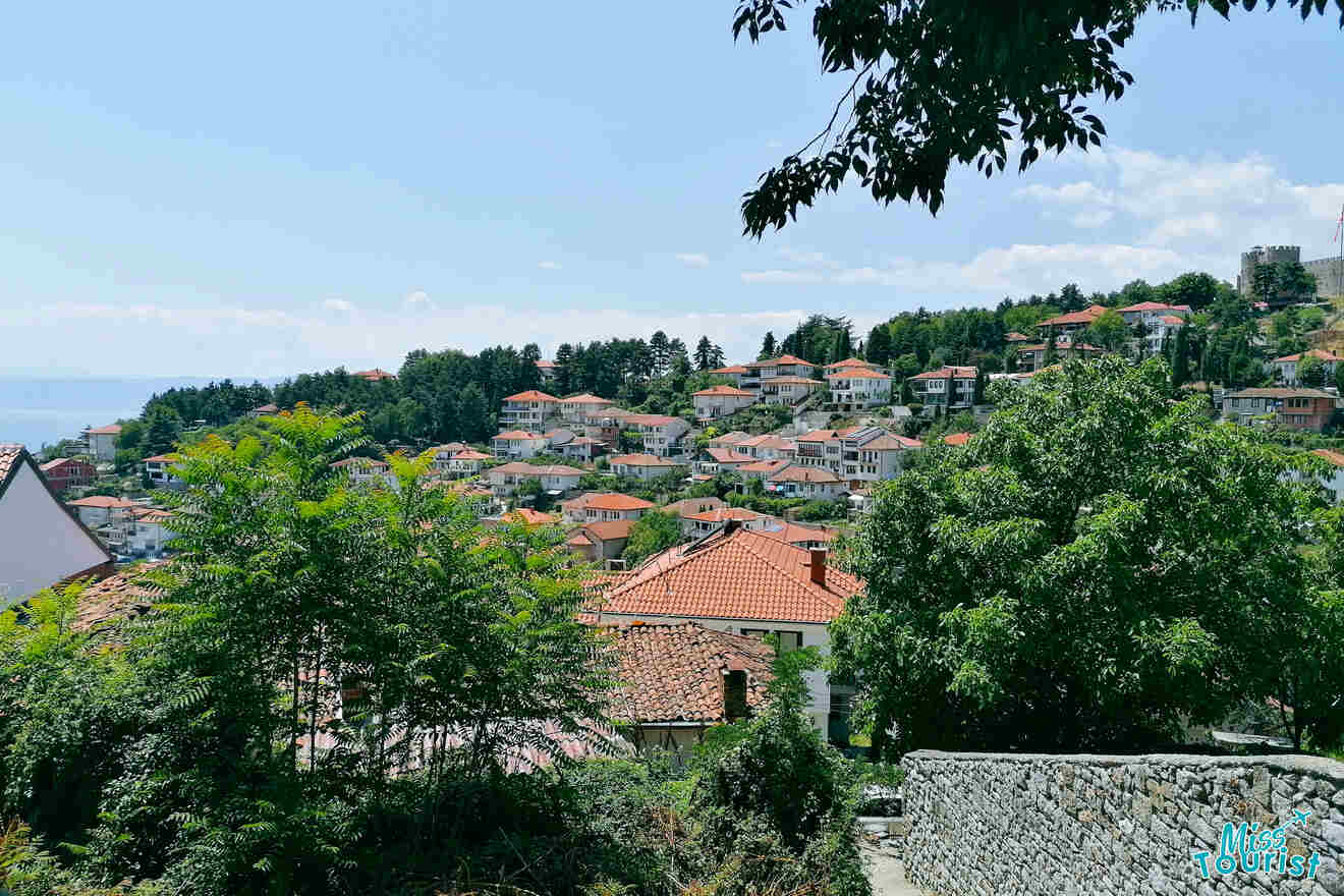 view of city houses with red roofs
