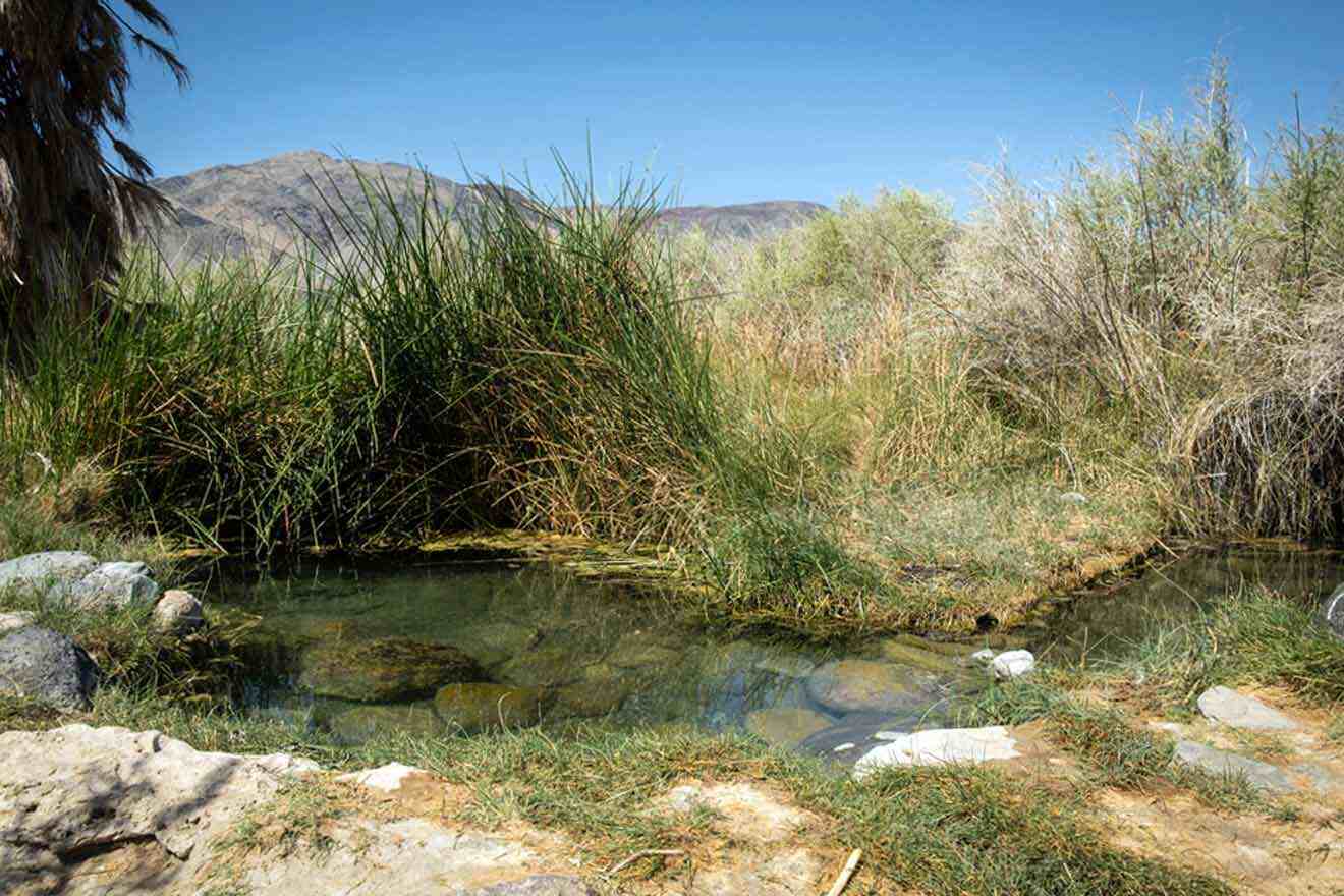 A small stream in the desert.