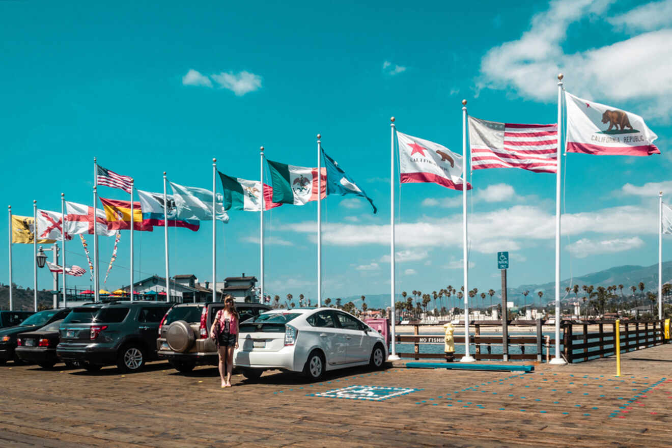 Cars parked underneath flags at the seaside