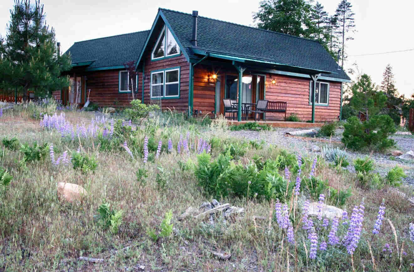 a cabin in the forest