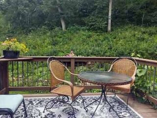 A deck with wicker furniture and a view of a wooded area.