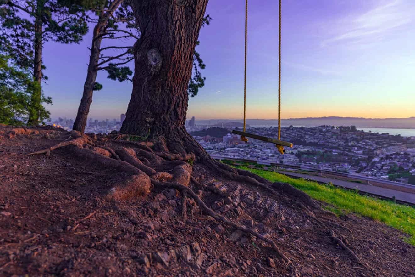 swing hung to a tree with city view