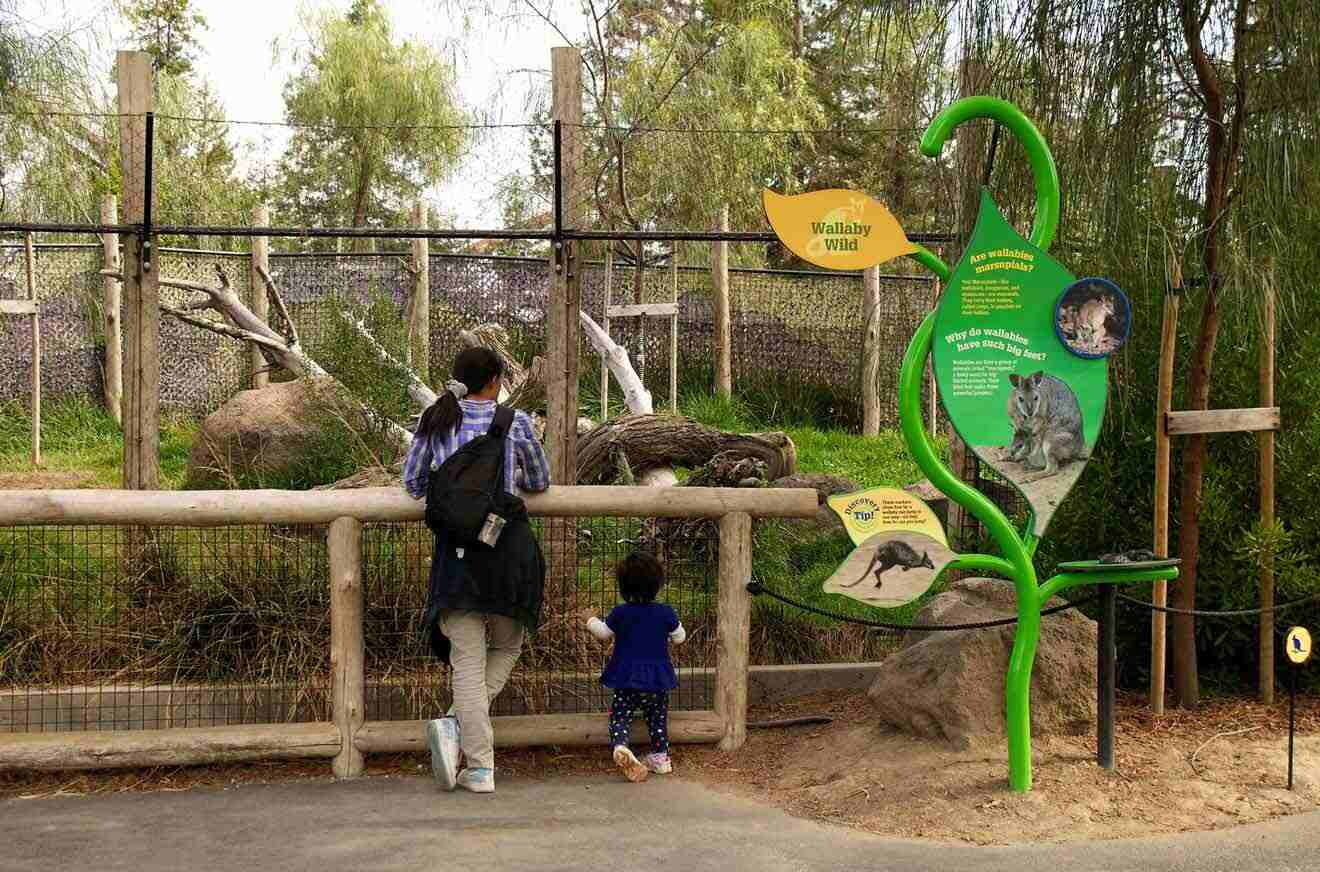 A woman and a child are looking at a zoo