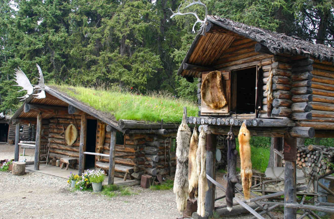 traditional houses with handing wild animals to dry