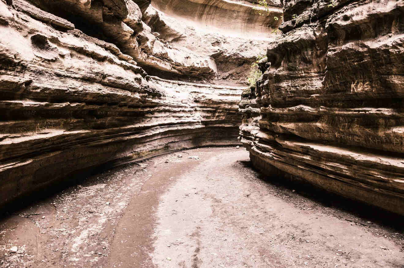 A narrow canyon pathway