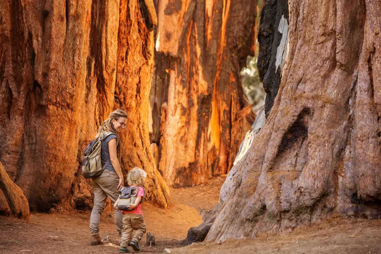 mom and child walking through a forest with sequoia trees