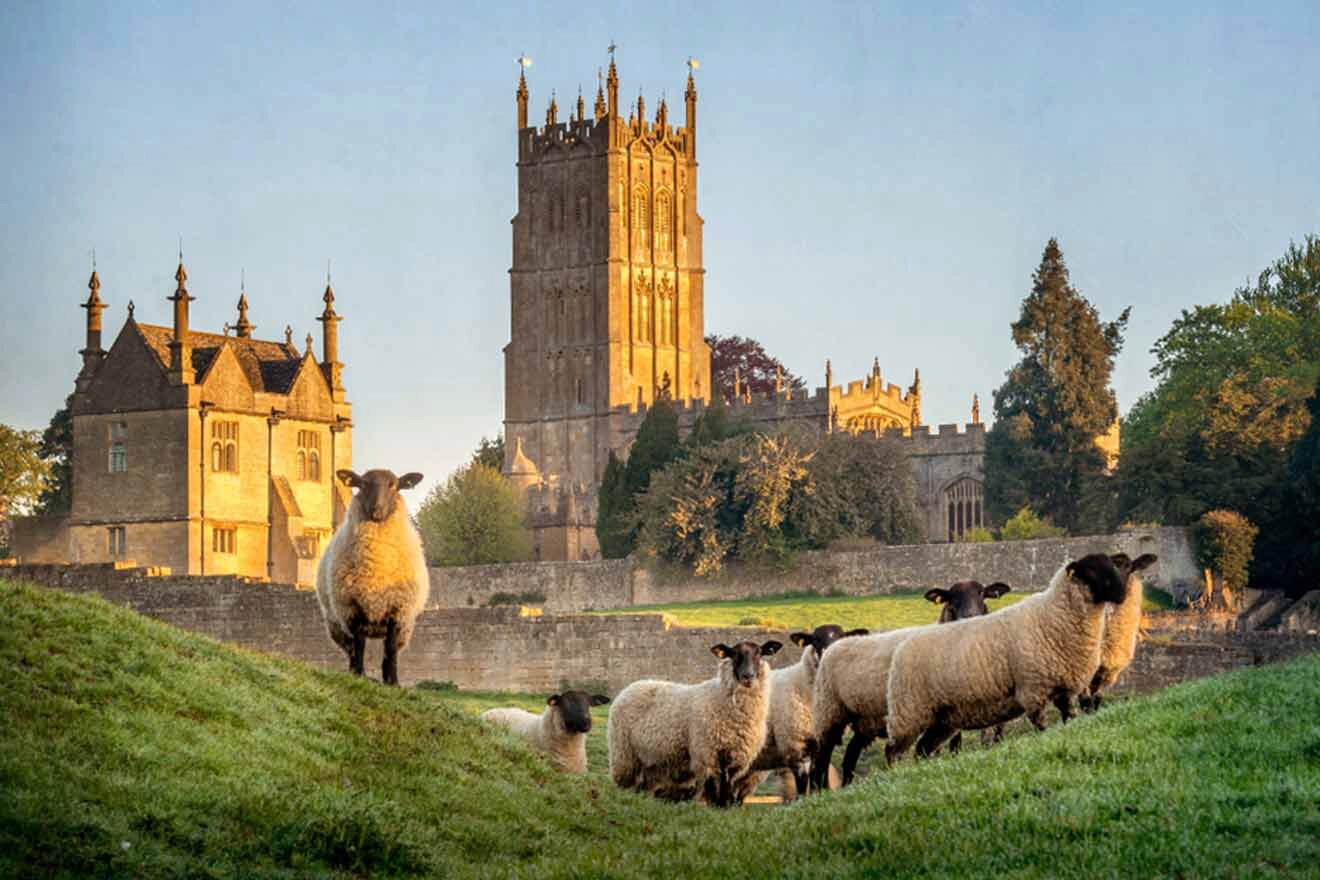 A flock of sheep in front of a church.