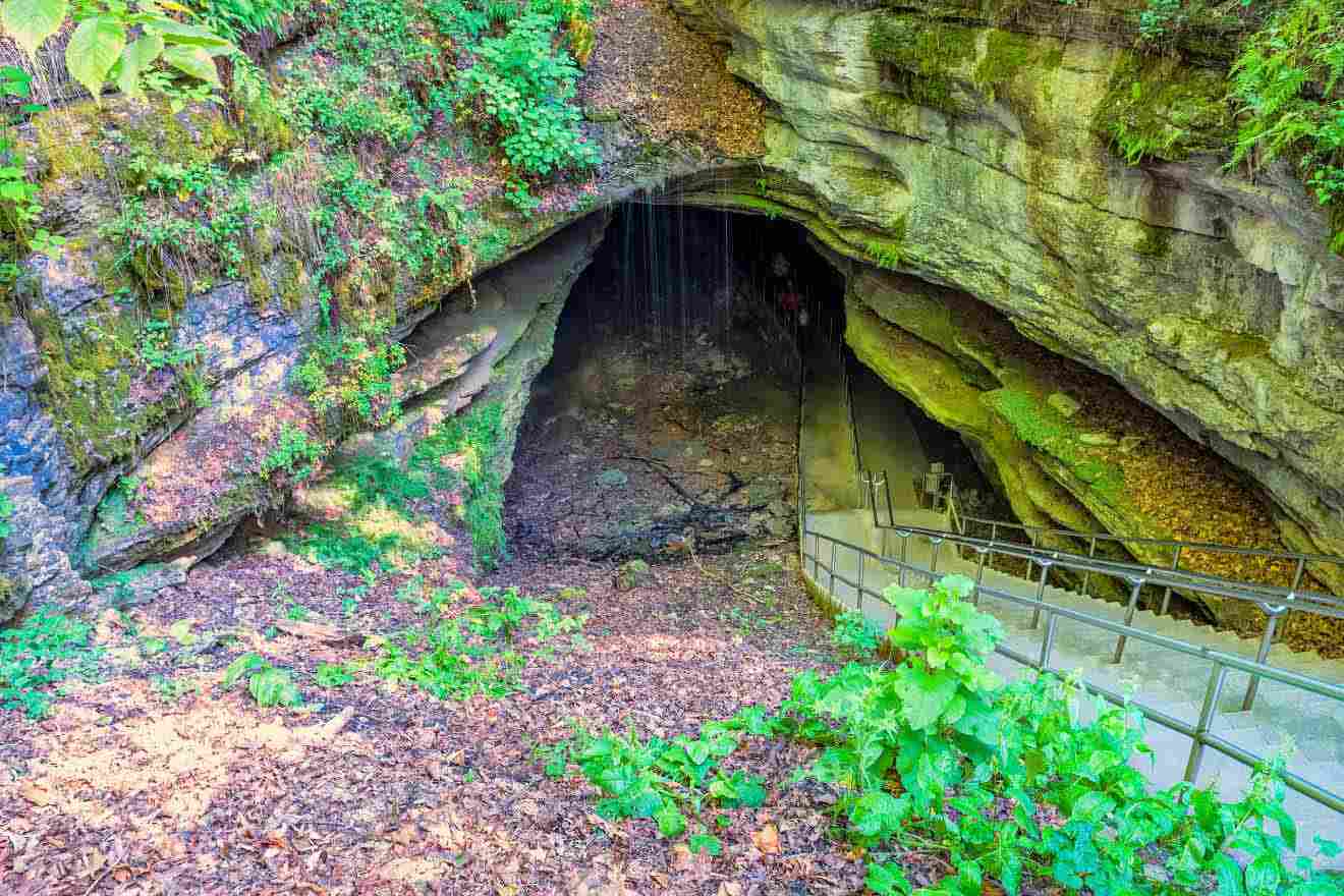 The entrance to a cave in the woods.