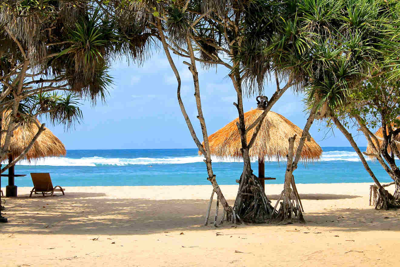 A sandy beach with thatched umbrellas and palm trees.