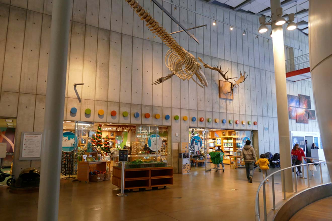 A museum with a large skeleton hanging from the ceiling.