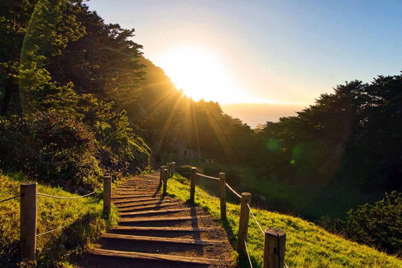 The sun is shining on a path leading to the ocean.
