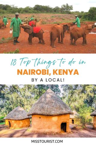 a collage of two photos: a person petting baby elephants and a cottage with a straw roof