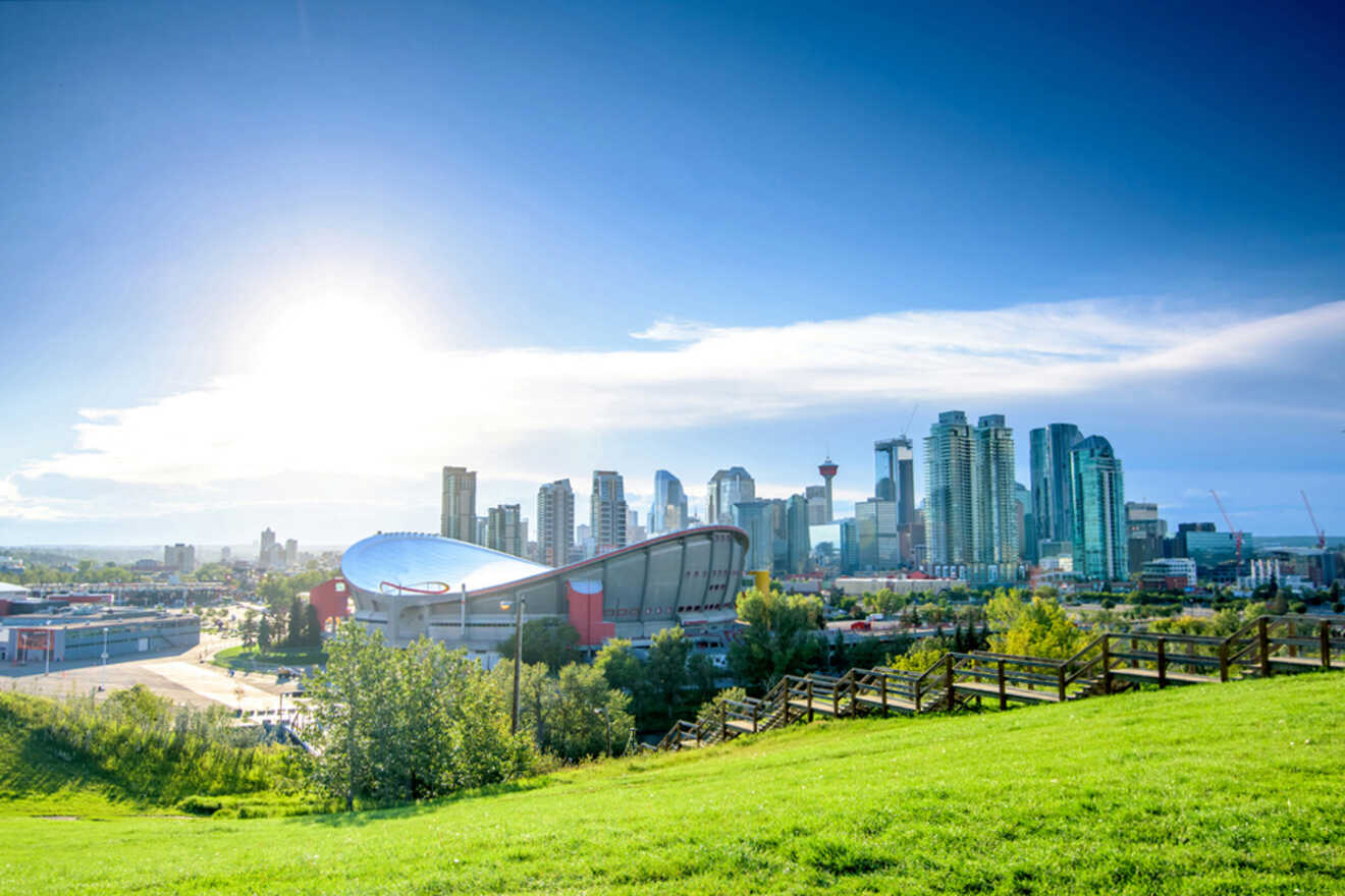 A view of the calgary skyline from a grassy hill.