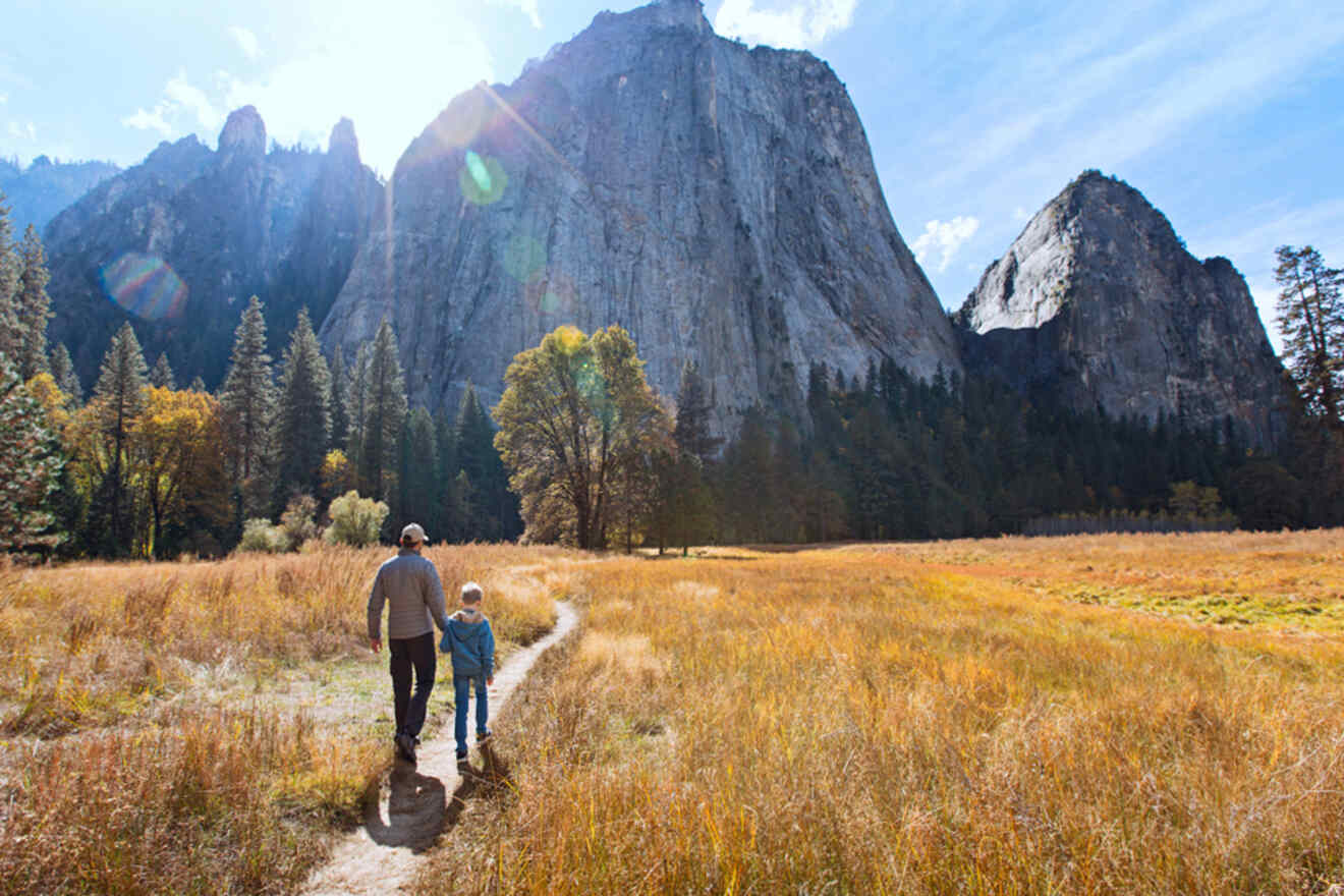 An adult and child, seen from behind, walk hand in hand on a dirt path through a meadow with tall golden grasses in Yosemite Valley, flanked by towering granite cliffs under a clear sky