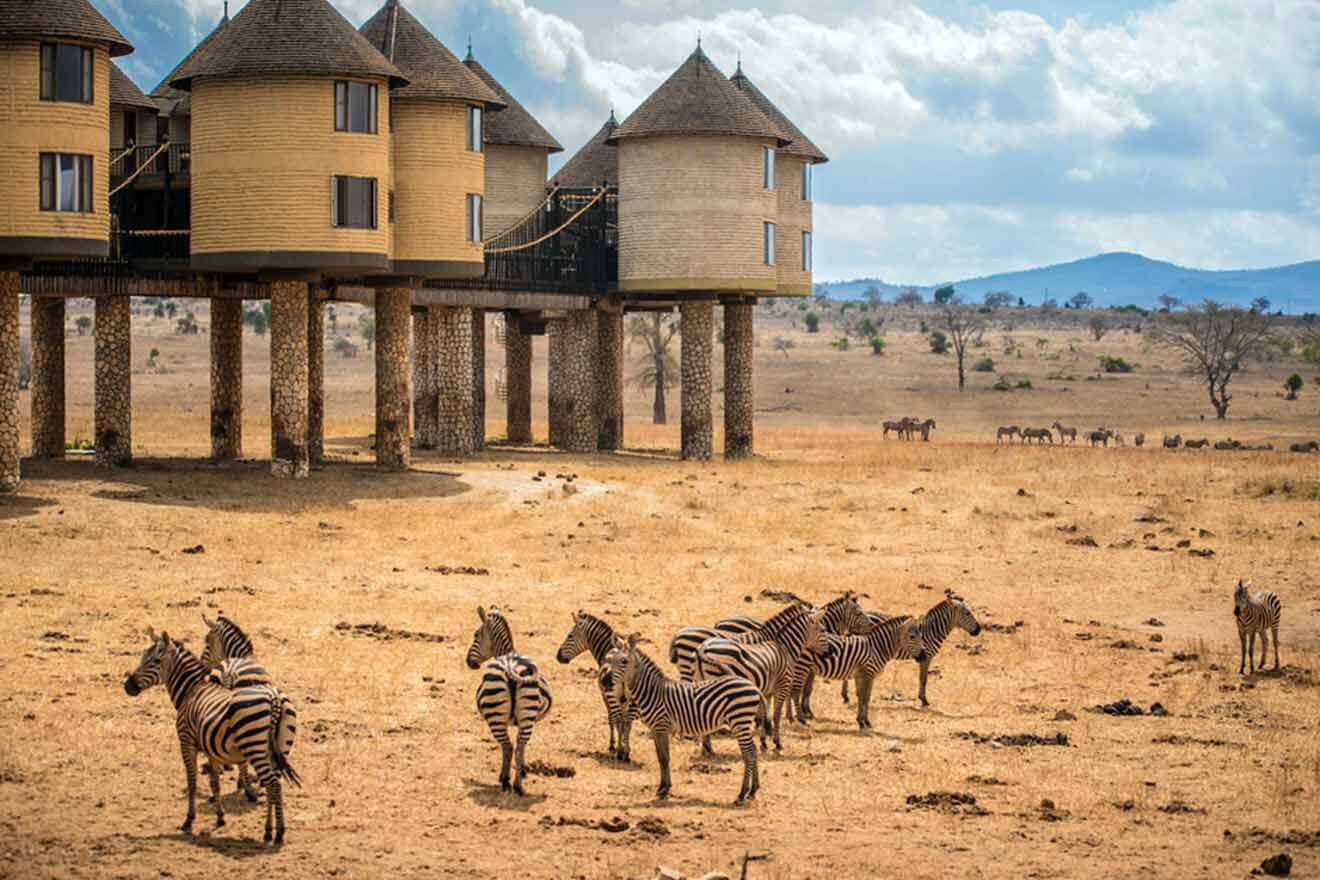 14 EPIC South Africa Safari Lodges: Your 2024 Update!