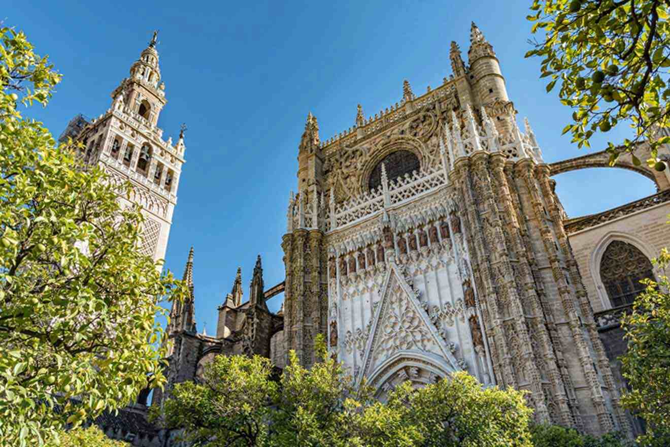 A view of a cathedral from the ground surrounded by trees