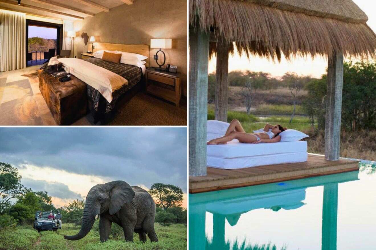 collage of 3 images with: woman sitting on a bed in a gazebo by the pool, people on a safari seeing an elephant and a bedroom
