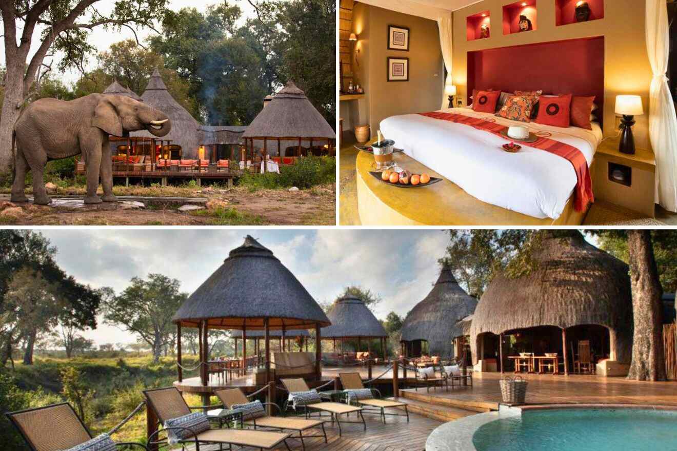 collage of 3 images with: pool with various gazebos and sunbeds, bedroom and an elephant sitting next to gazebos