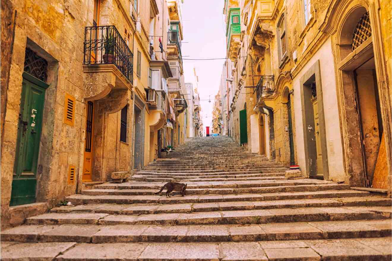 A cat walks down the weathered limestone steps of a narrow street in Valletta, Malta, flanked by traditional Maltese balconies and doorways in an array of warm colors.