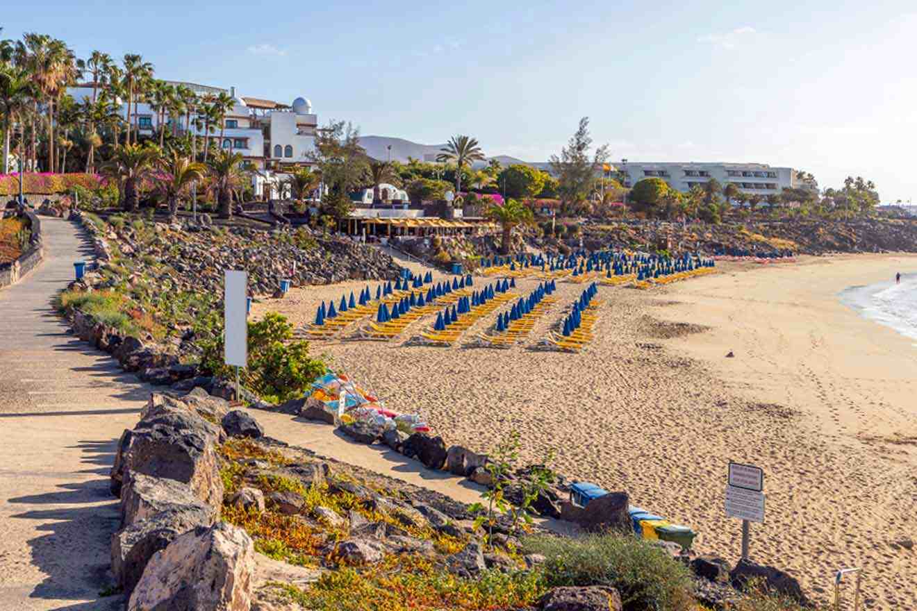 The beach is lined with umbrellas and chairs.