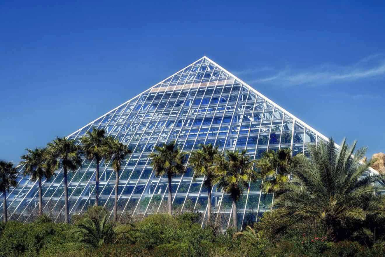 A glass pyramid with palm trees in front of it.