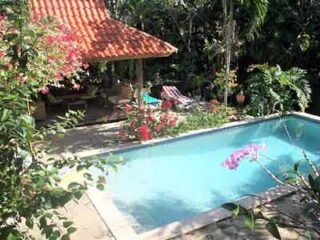 A swimming pool in a garden surrounded by trees and flowers.