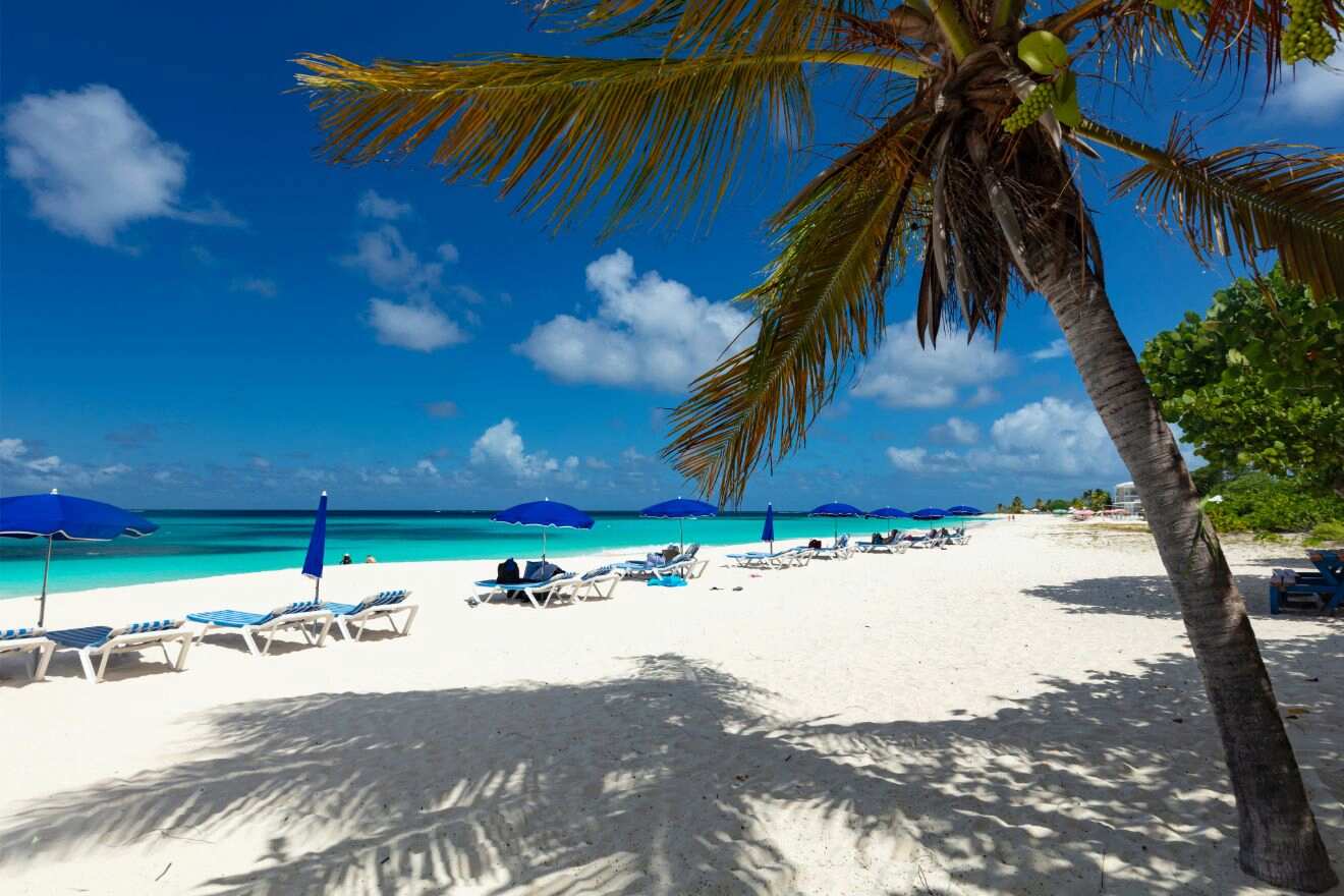 a beach with lounge chairs, umbrellas, and palm trees