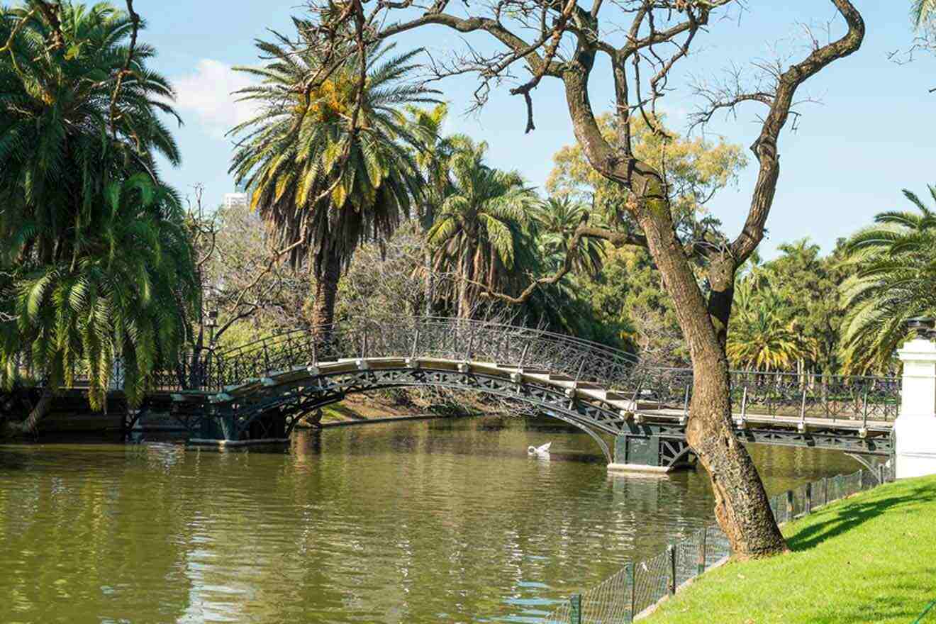 A bridge over a river in a park with palm trees in Palermo, Buenos Aires.