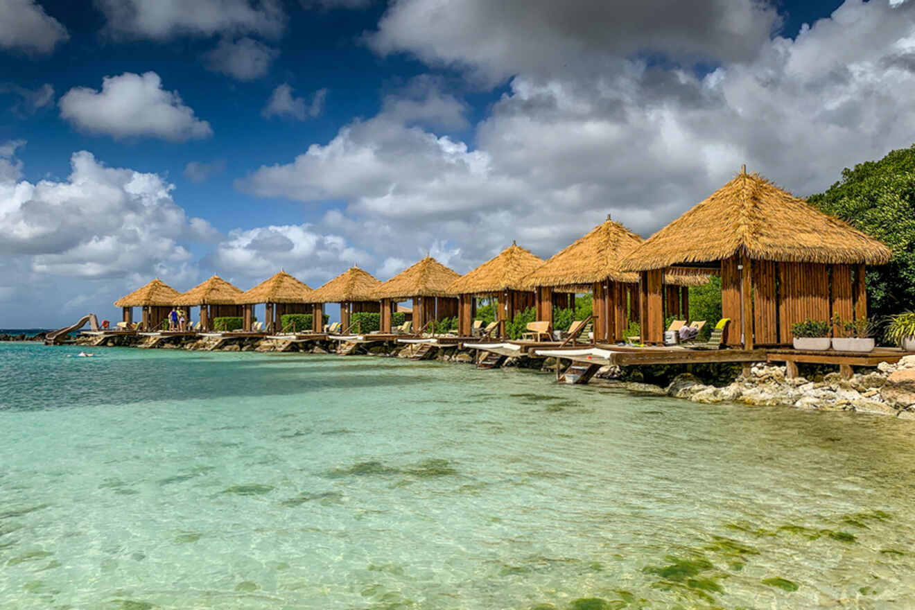 A group of thatched huts on the shore of the ocean.