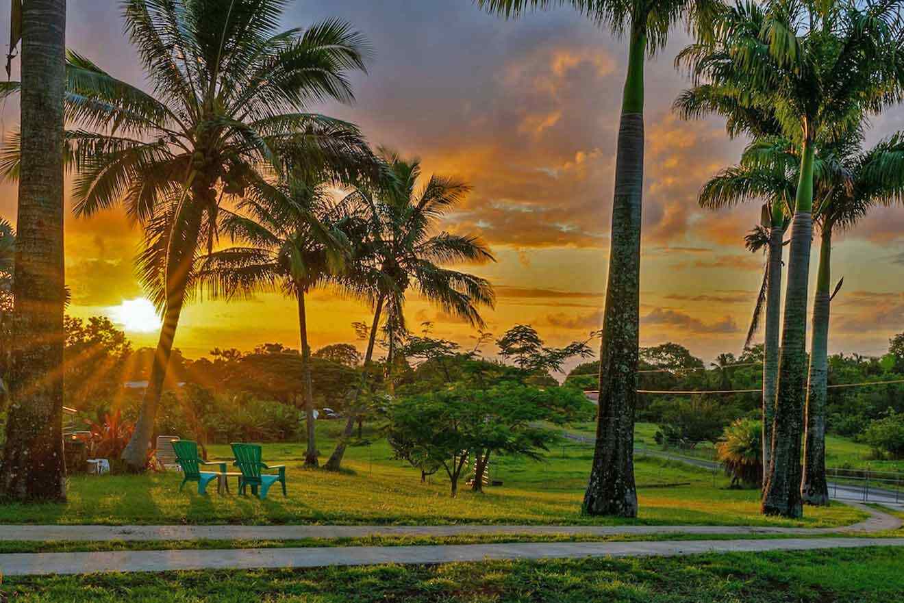 The sun is setting over palm trees and lawn chairs.