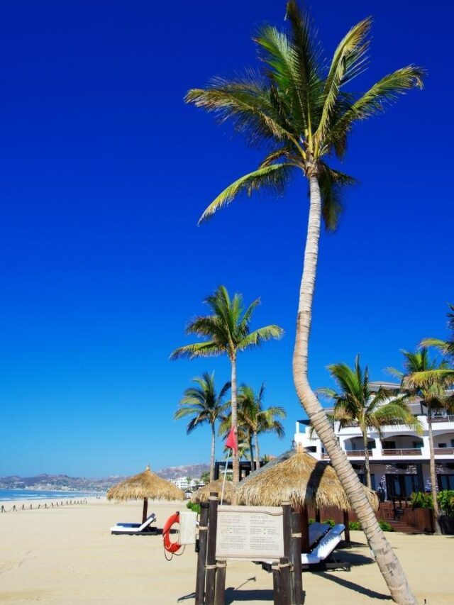 3 Areas to Stay in Los Cabos Miss Tourist