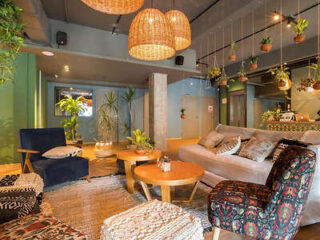 A living room with plants hanging from the ceiling.