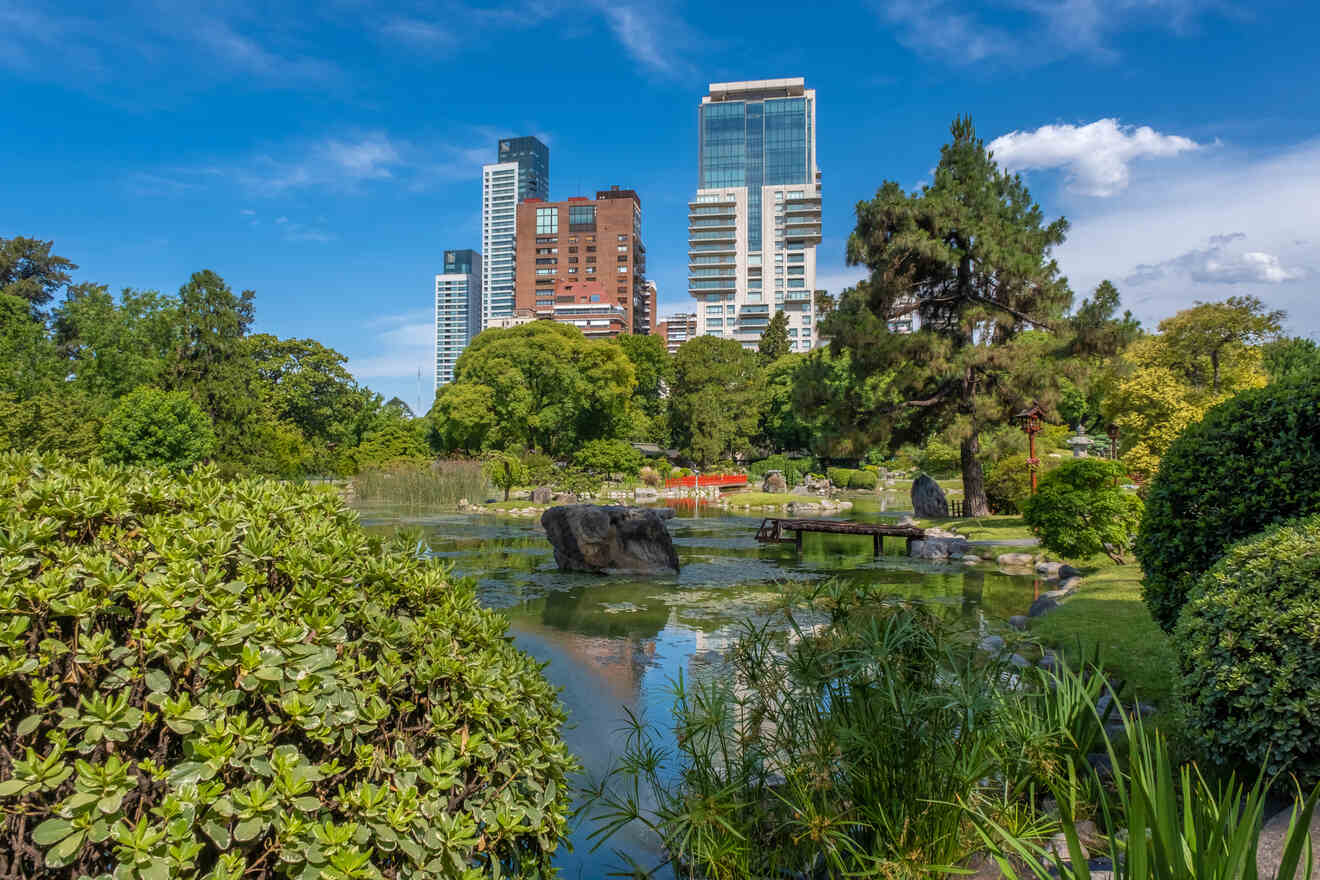 a pond in a park with buildings behind it 