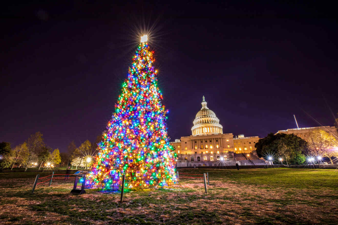 a giant Christmas tree in front of the White House