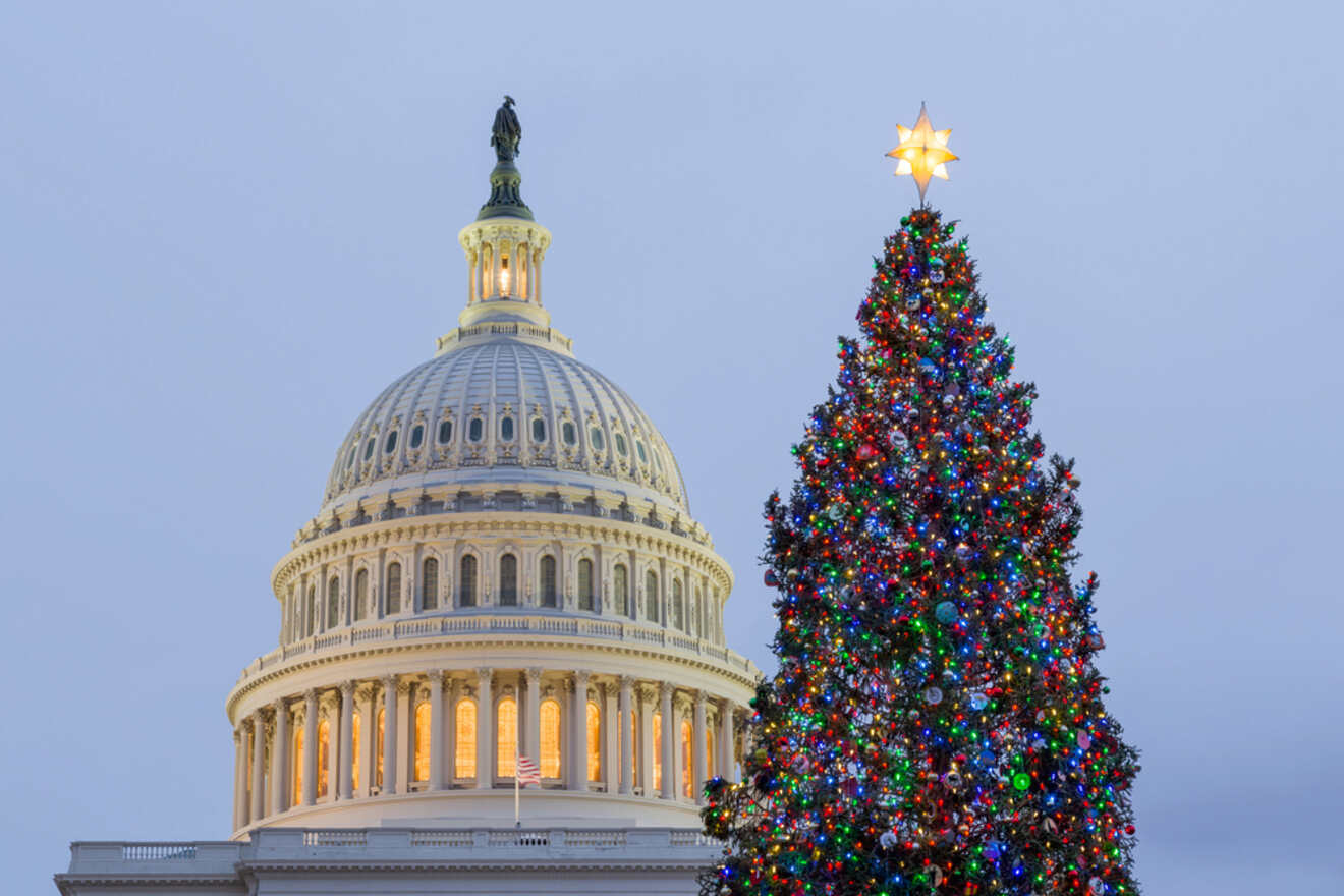 a Christmas tree with a star top and the dome of the White House in the background