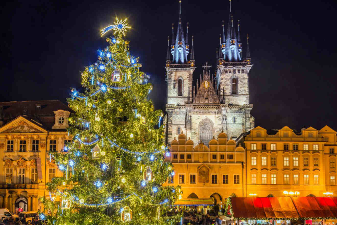 a tall Christmas tree in front of a cathedral