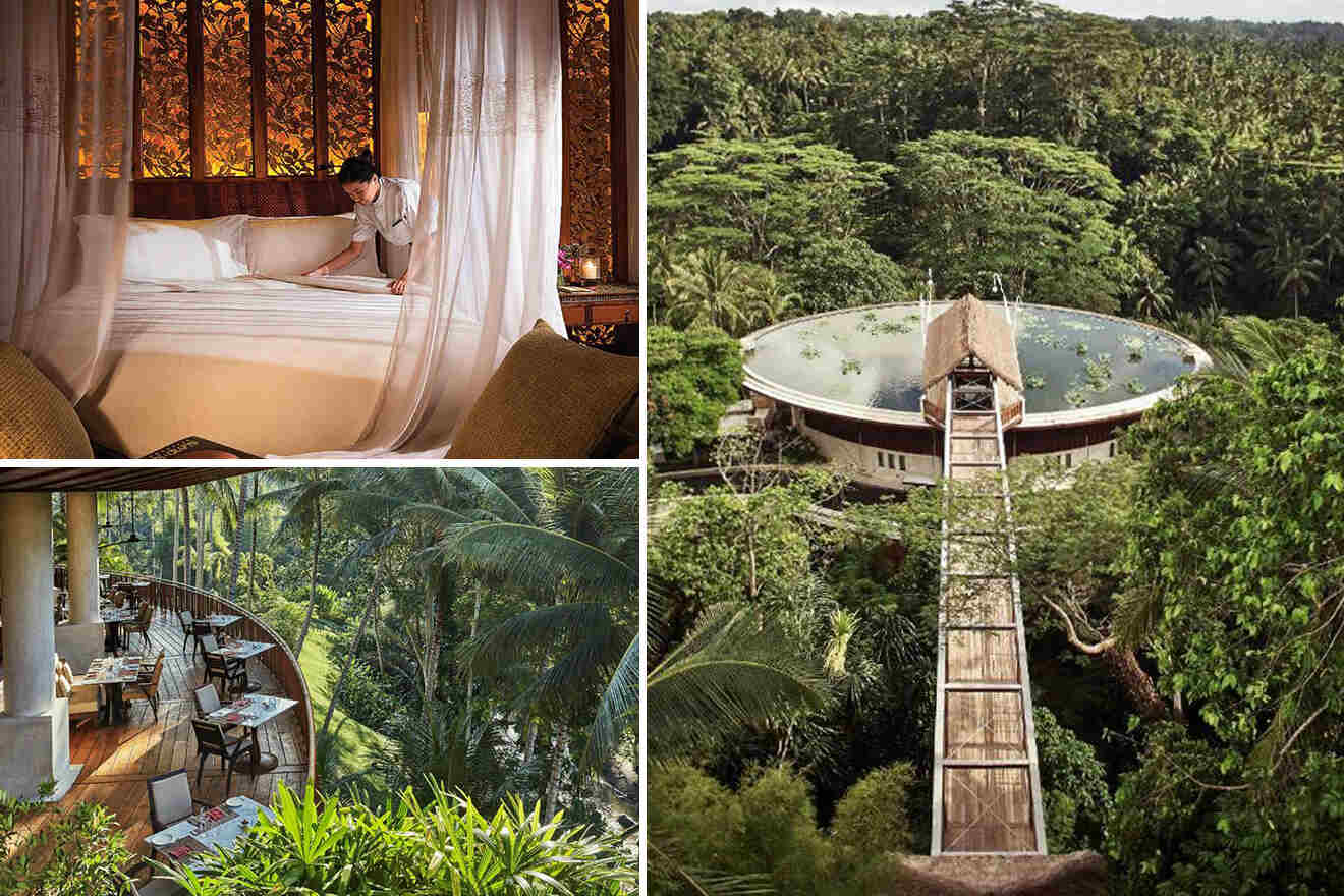 collage of 3 images with: bedroom, restaurant on the terrace and pond in the jungle