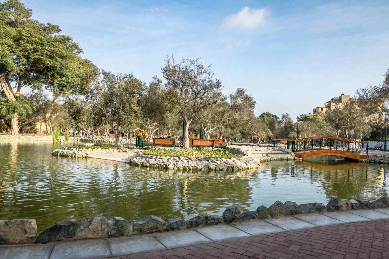 a park with a pond, benches, trees, and stone paths in San Isidro, Lima