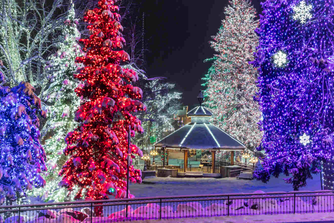 a gazebo surrounded by winter trees decorated with Christmas lights