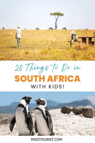 a collage of two photos: kids looking at animals on a safari and penguins on a beach