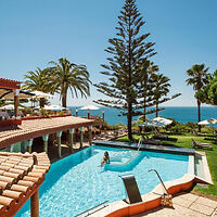 Luxurious resort pool with a towering pine tree, overlooking the serene ocean under a clear blue sky