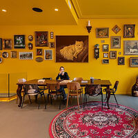 A woman sits alone at a table in a brightly lit room with yellow walls, decorated with various framed pictures and a large cat portrait above her.