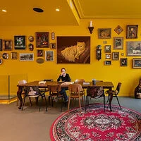 A woman sits alone at a table in a brightly lit room with yellow walls, decorated with various framed pictures and a large cat portrait above her.