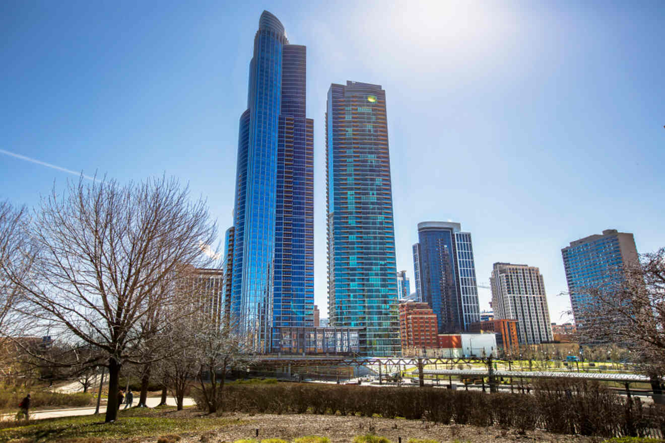 Modern skyscrapers of Chicago's skyline rising behind a tranquil park with bare trees and grassy paths under a bright sun
