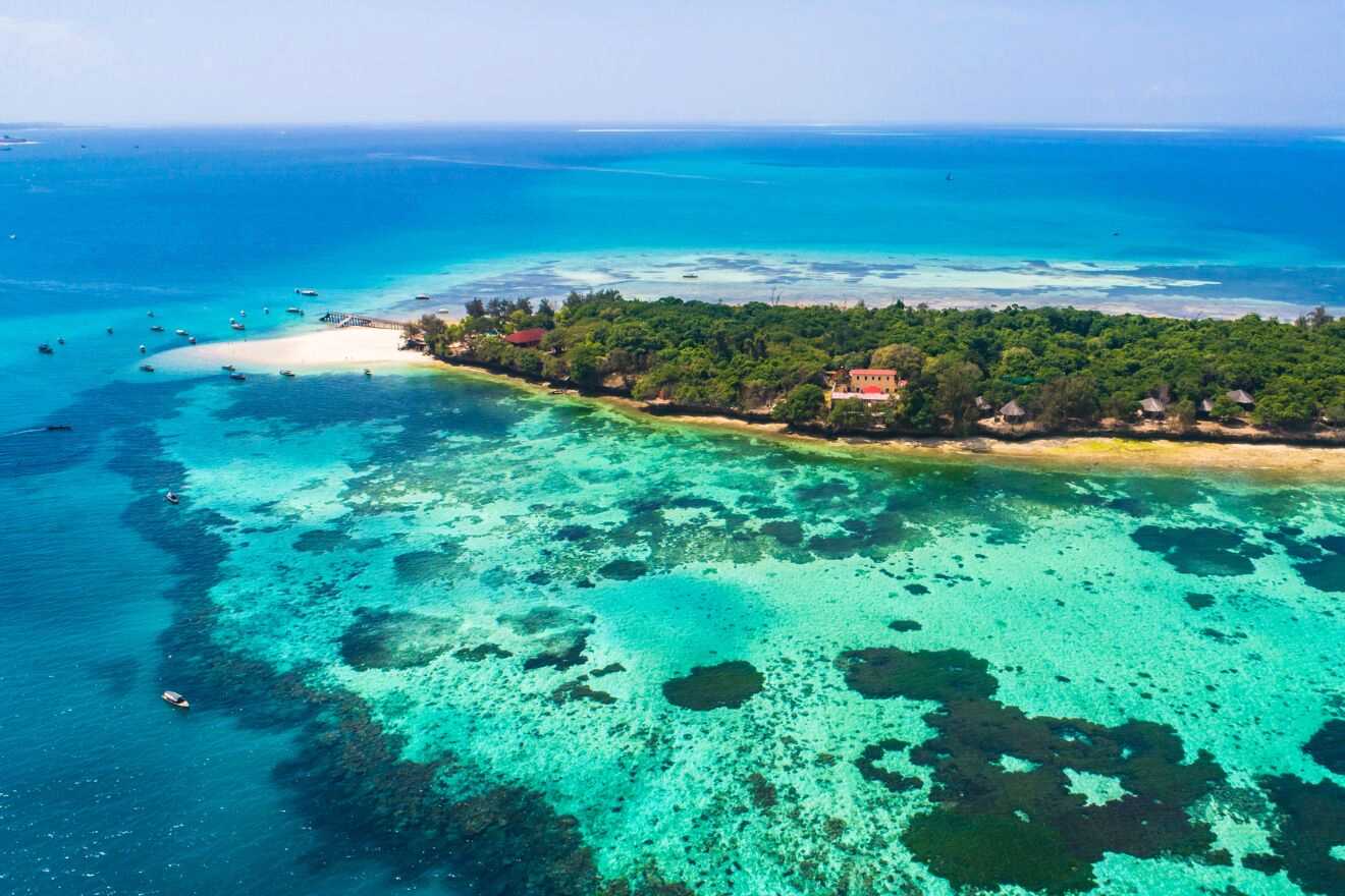 Aerial view of an island with trees in Zanzibar