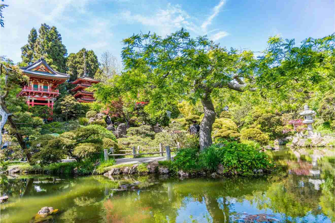 A tranquil scene in the Japanese Tea Garden within Golden Gate Park, featuring traditional architecture, lush vegetation, and a peaceful pond.